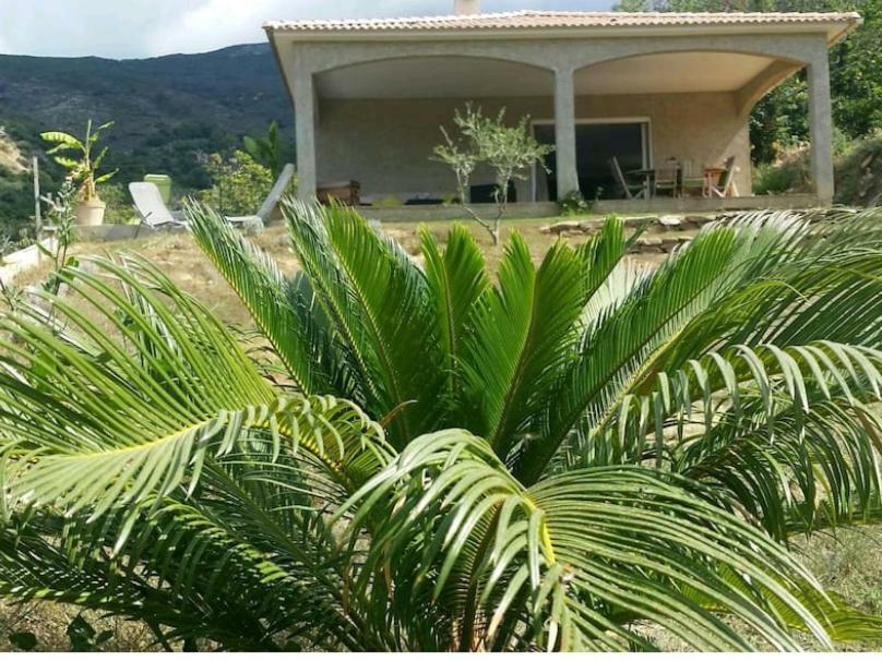 Apartamento Ma Vie La Patrimonio Exterior foto
